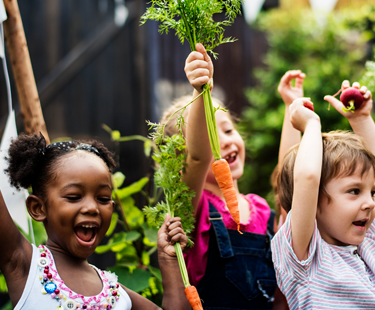 School Gardens: Learning Beyond The Crops