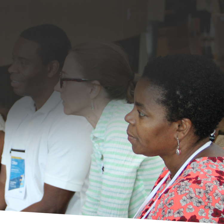 Leading the Effective Middle School