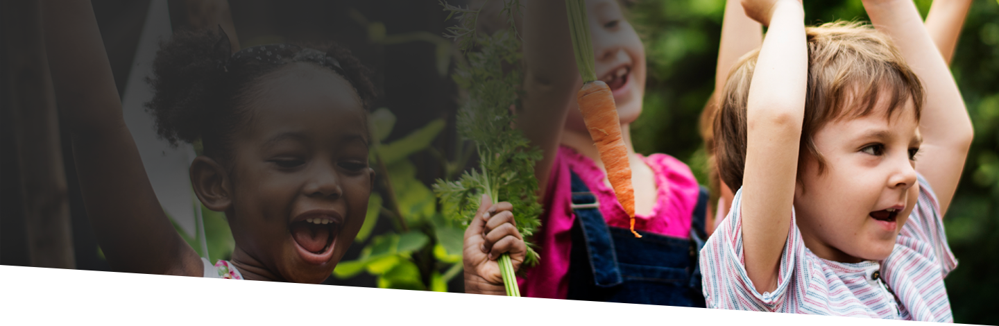 School Gardens: Learning Beyond The Crops