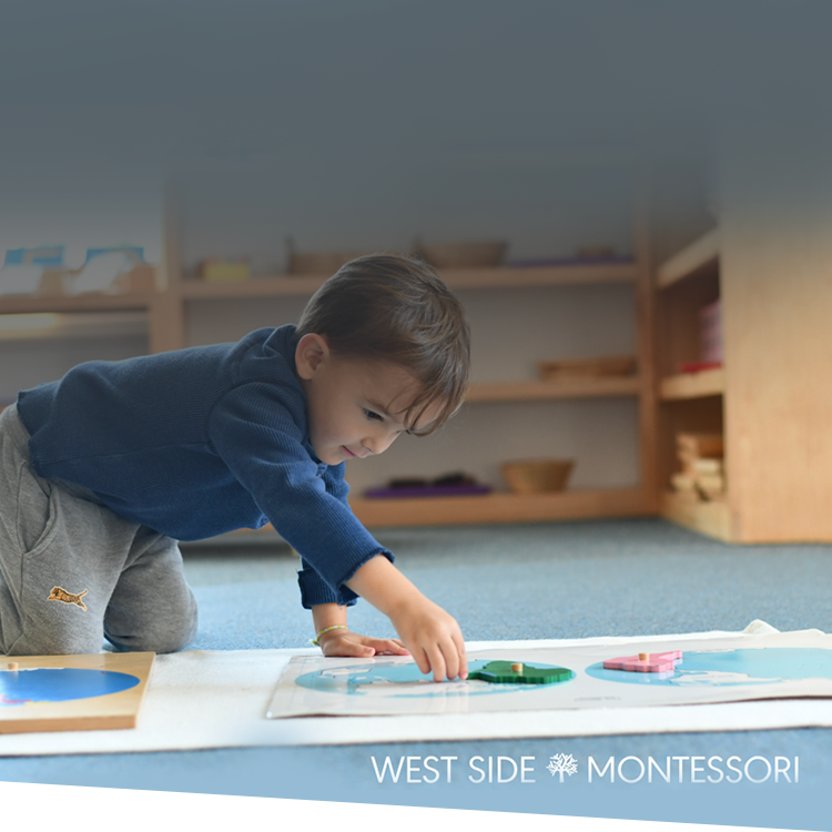 School Spotlight: How West Side Montessori Successfully Transitioned to Distance Learning