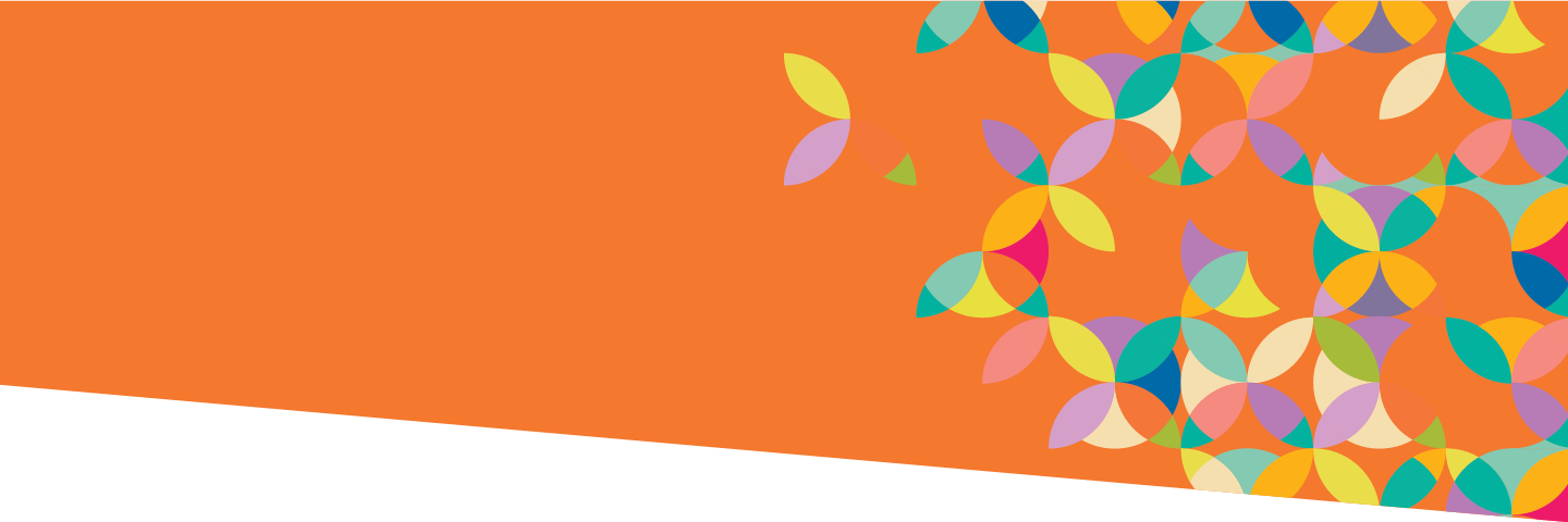 Summer Institute