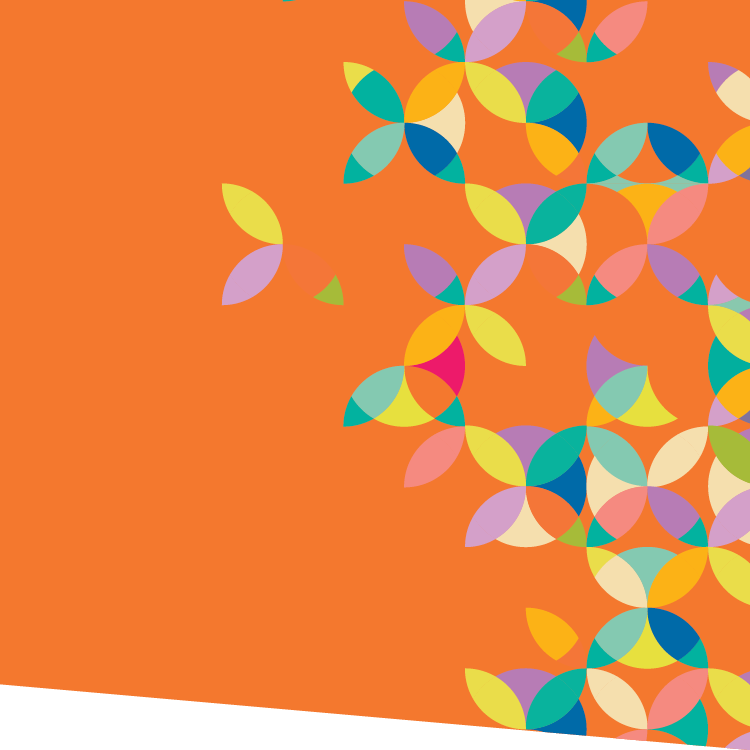 Summer Institute
