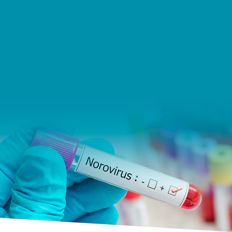 Norovirus is Back: How Educators Should Prepare