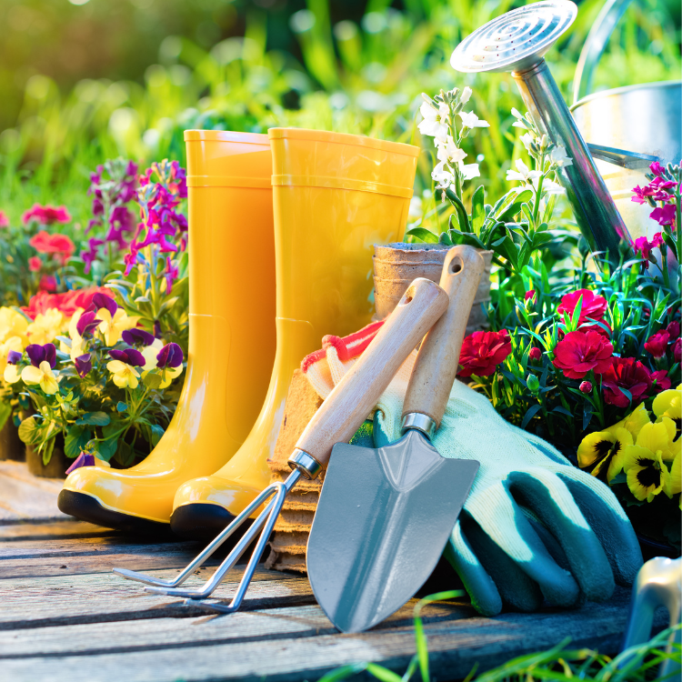 colorful garden, rain boots, gardening tools