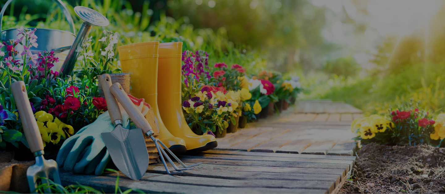 colorful garden, rain boots, gardening tools