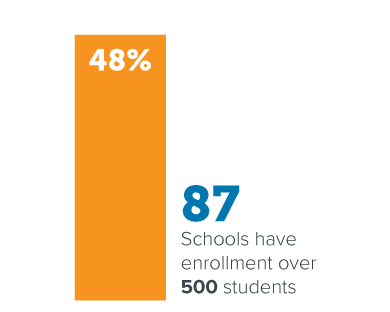 Summer Institute Schools