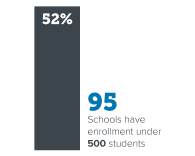 Summer Institute Schools